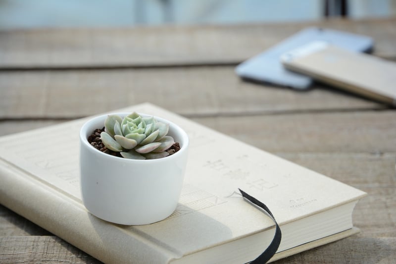 Container Gardening